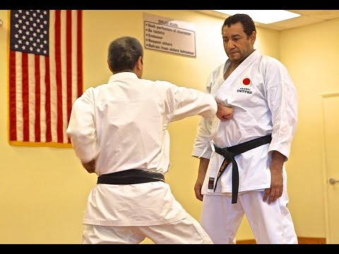Master Osaka Explains Punching Oi Zuki