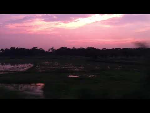 Sunset From Train | #Shorts