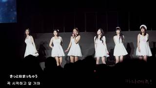 190202 에이핑크 My First Love - PINK COLLECTION JAPAN
