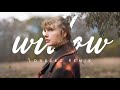 Taylor Swift - willow (Reggaeton Remix) (Solo Version)