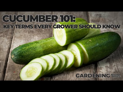 The Gardener's Guide to Cucumber Terminology
