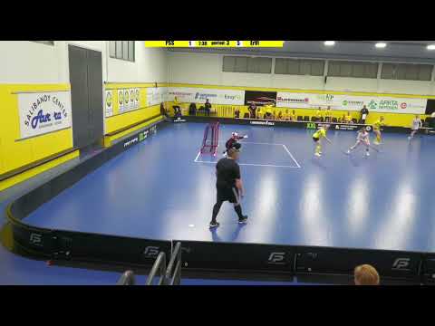 T21: PSS - EräViikingit 15.2.2023 maalikooste