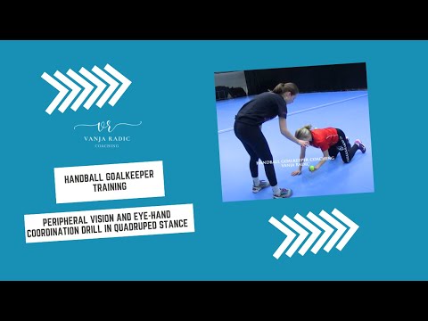 Peripheral Vision and Eye-Hand Coordination Drill in Quadruped Stance