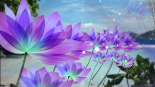 Download lagu Mojang Komersil mp3 Download lagu Mojang Komersil mp3