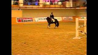 preview picture of video 'Astrid Schwarz auf Chasanova beim Kärntner Warmblut Pferdefestival in Treffen'
