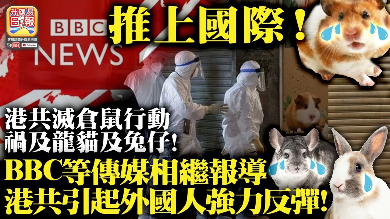 1.19 【推上國際!】港共滅倉鼠行動禍及龍貓及兔仔! BBC等傳媒相繼報導,港共引起外國人強力反彈!
