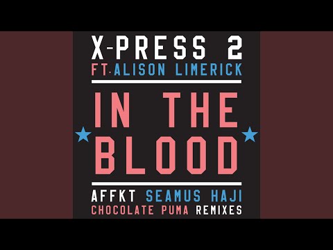In the Blood (feat. Alison Limerick) (Seamus Haji Radio Remix)