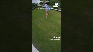 Download lagu Girl swings snake in frantic effort to save pet guinea pig mp3 Download lagu Girl swings snake in frantic effort to save pet guinea pig mp3