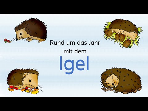 Rund ums Jahr mit dem Igel (Lernvideo)