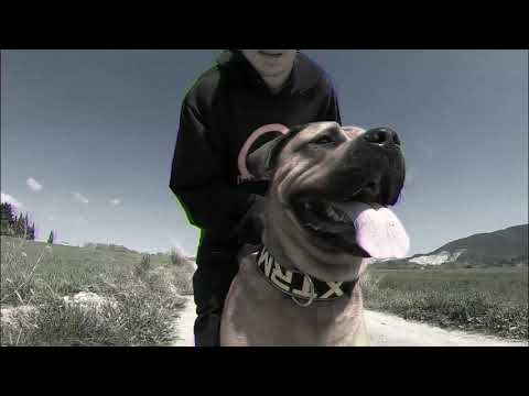 CHERFULL 🔥 Mi Lado Cuerdo 🔥