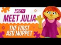 Meet Julia The First ASD Muppet How Sesame Street Promotes Neurodiversity