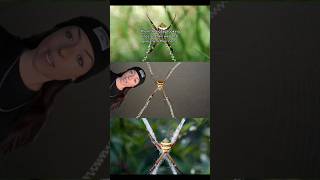 sick spider tbh