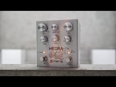 Meris Hedra 3-Voice Rhythmic Pitch Shifter image 2