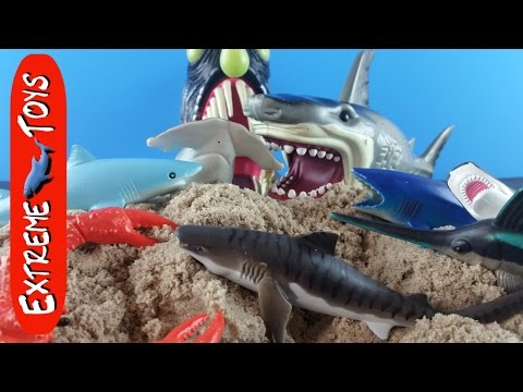 Bigger Surprise Shark toys hidden in the sand Part 2! Video