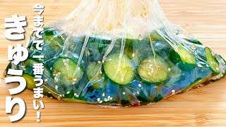 【きゅうりの簡単レシピ】絞って混ぜるだけ！秒でなくなる。