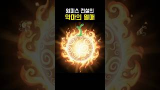 원피스 전설의 악마의 열매 3개