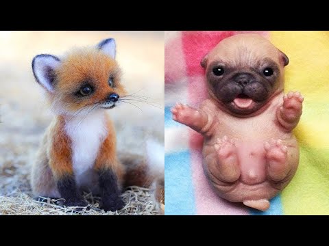 CUTE BABY ANIMALS Videos Compilation 😻🐶 Funny and Cute Moment of the Cats and Dogs