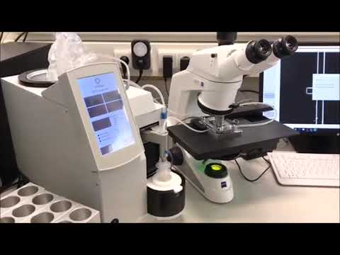 Eberspermaproduktion in der BuS