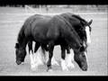 Horses SoundTrack AgeOfEmpires3