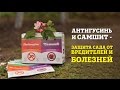 Фунгицид Самшит® (Ukravit) - системная защита яблони, персика, винограда и картофеля от комплекса болезней