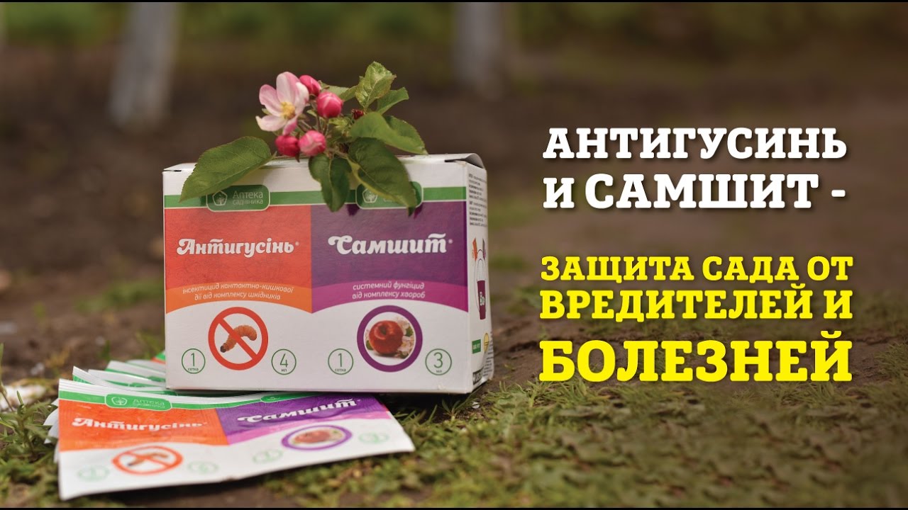 Фунгицид Самшит® (Ukravit) - системная защита яблони, персика, винограда и картофеля от комплекса болезней