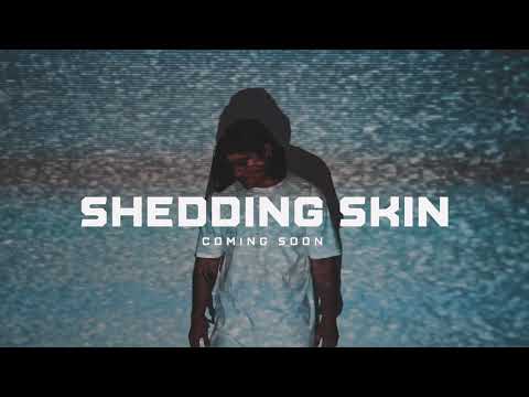 D3Z   SHEDDING SKIN FINAL