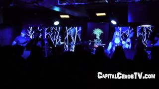FALLUJAH "Assemblage of Wolves" live on CAPITAL CHAOS TV