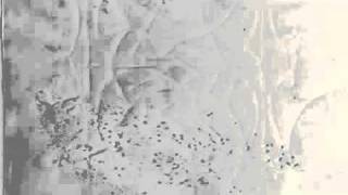 One + Two + Three Fifths (1/3)