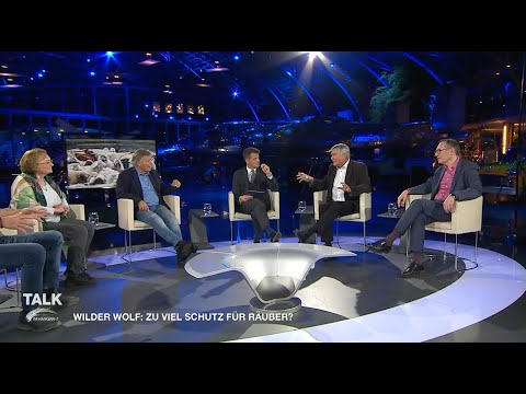 Talk im Hangar-7 - Wilder Wolf, gefräßiger Otter: Zu viel Schutz für Räuber? | Kurzfassung