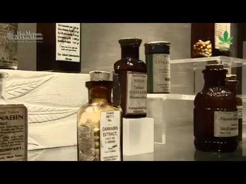 Did you know about the Golden Age of medicinal cannabis? | Canna History HD