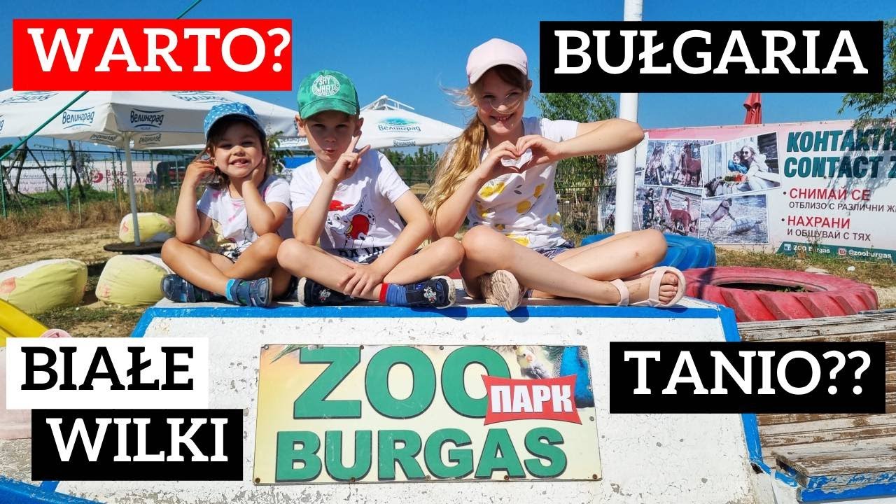 ZOO w BURGAS 🐪 Czy warto zobaczyć? 🐺 Co oni robią ...