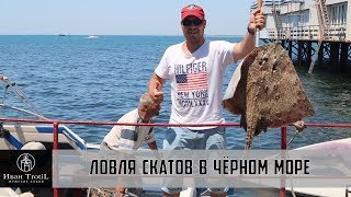 Ссылка