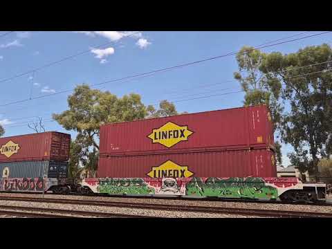 NR56 AND NR83 leading 6MP5