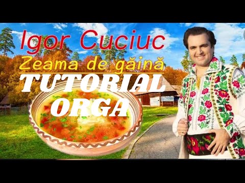 #2 Tutoriale Orga - Bătută Moldoveneasca Instrumentala “Zeama de găina” Igor Cuciuc