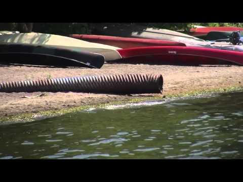 Bloom - the Emergence of Ecological Design (:30 PBS promo)