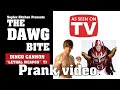 Kota Ibushi Jushin Liger Prank Video THE DAWG BITE