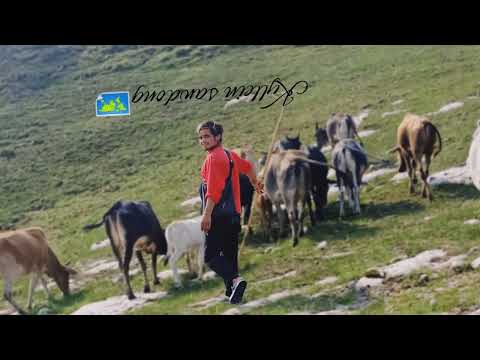 jingieit Jingkmen naei ngan shem. please like And subscribe