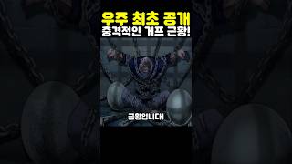 원피스 최신화인데? 우주 최초 공개 거프 근황이 미쳤습니다!