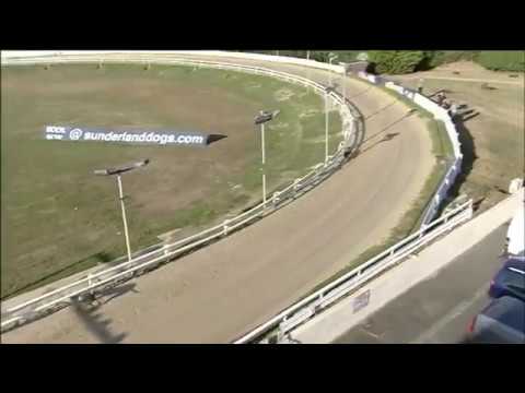 2018 WILLIAM HILL CLASSIC HEAT 1 - T2 KING TURBO