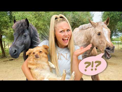 WENN MEINE TIERE SPRECHEN KÖNNTEN…