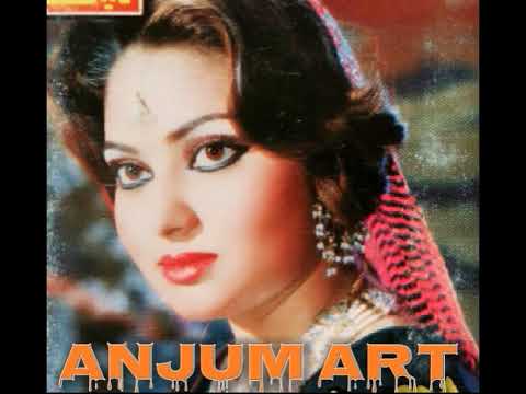 Ranjan Yara Ve DildaraTenu Labhde phrde Mehnaz Begam#punjabtvhddepalpur #bilalartdepalpur