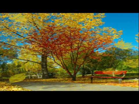 Thảng thốt - Dzoãn Minh