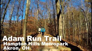 Highlights of a fall hike on Adam Run Trail.
