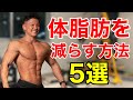 ダイエット】体脂肪を減らすための条件を解説します。痩せたい人必見!