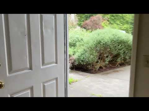 2976renn - Video 2 of 2