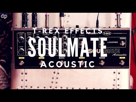 The ultimate Acoustic Guitar Pedal? T-Rex Effects SOULMATE Acoustic