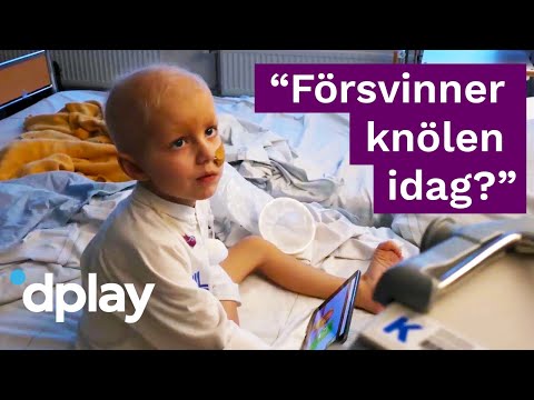 Föräldrarna hoppades på mirakel efter Elis återfall av hjärntumör | Barncancergalan 28/9 på Dplay