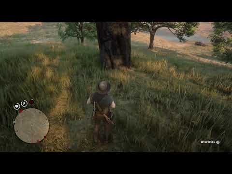 Red Dead Redemption 2 Baumhaus easter egg