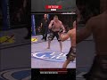BROCK LESNAR PUNCHES HIS WAY THROUGH RANDY UFC