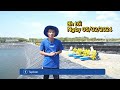 TÉP BẠC chính thức THẢ TÔM GIỐNG -Bắt đầu vụ nuôi đầu tiên! - Hành trình xây dựng ao tôm tiền tỷ | Tập 6